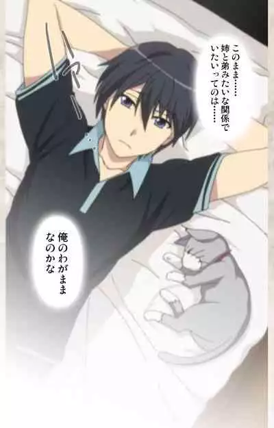 Ane Yome Quartet Kanzenban