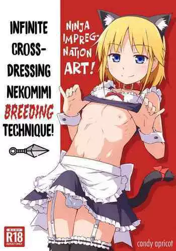 Ninpou! Josou Nekomimi Maid Mugen Tanetsuke no Jutsu!! | Ninja Impregnation Art: Infinite Crossdressing Nekomimi Breeding Technique!