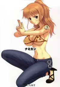 (C87) [Mikenekodou (Muten)] NAMIKAN (One Piece)