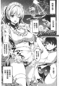 [Kamishiro Ryu] Ojosama no Maidgoto [Chinese]