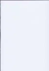 (C93) [Armament Calcium (Take Calcium)] Majo Kyousei Chijo (Touhou Project)