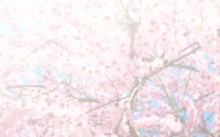 Netorare Kaigo ~Tonari no Heya de wa Tsuma to Aitsu ga...~