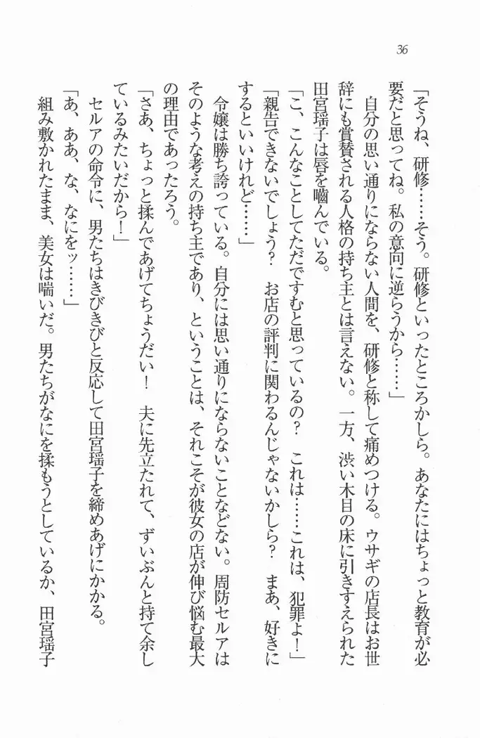 メイド喫茶　猫の隠れ家