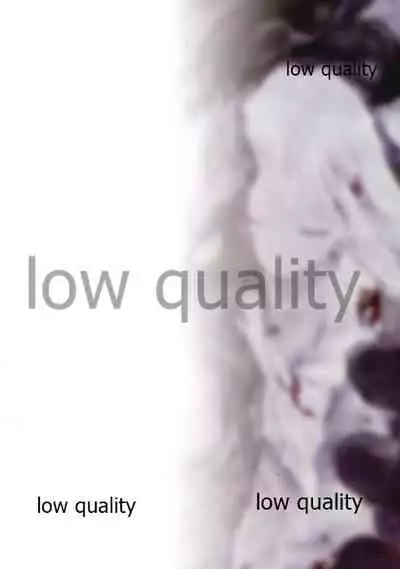 Fate/stay night Illust Shuu "Usuyami"