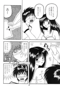 (C66) [Studio Boxer (Shima Takashi, Taka)] HOHETO 29 (Ichigo 100%)