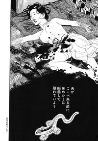 [Maruo Suehiro] Lunatic Lover's [English] [Caterpillar]