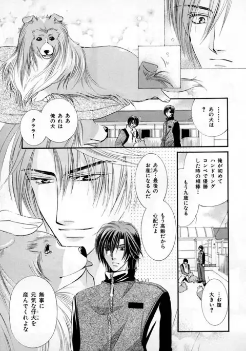 b-BOY Phoenix Vol.3 Tsundere Tokushuu