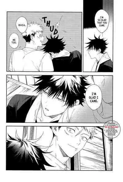 Marigold e | My Dear Marigold