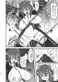 (C77) [FONETRASON (Ryutou)] Shield Knight Elsain Vol.8 "MetalDominator"