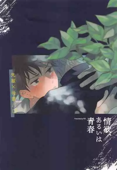 joyoku、aruihaseishun