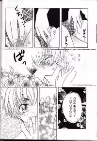 [Abe Ryu] [2000 Summer] Wolf and Cherry