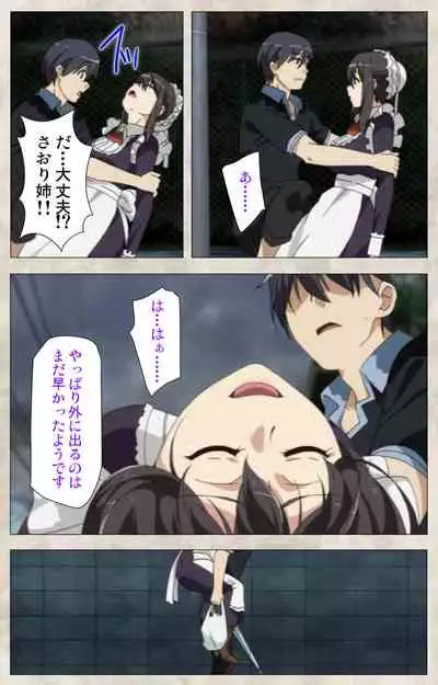 Ane Yome Quartet Kanzenban