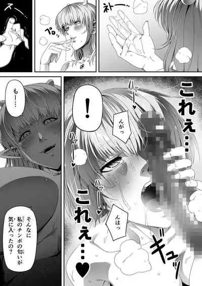 Chikara Aru Succubus wa Seiyoku o Mitashitai dake. 3