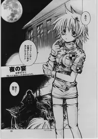 [Seinansei ni Kagayakeu Hoshi (Morino Papiko)] FINALE : rosso (Hellsing)