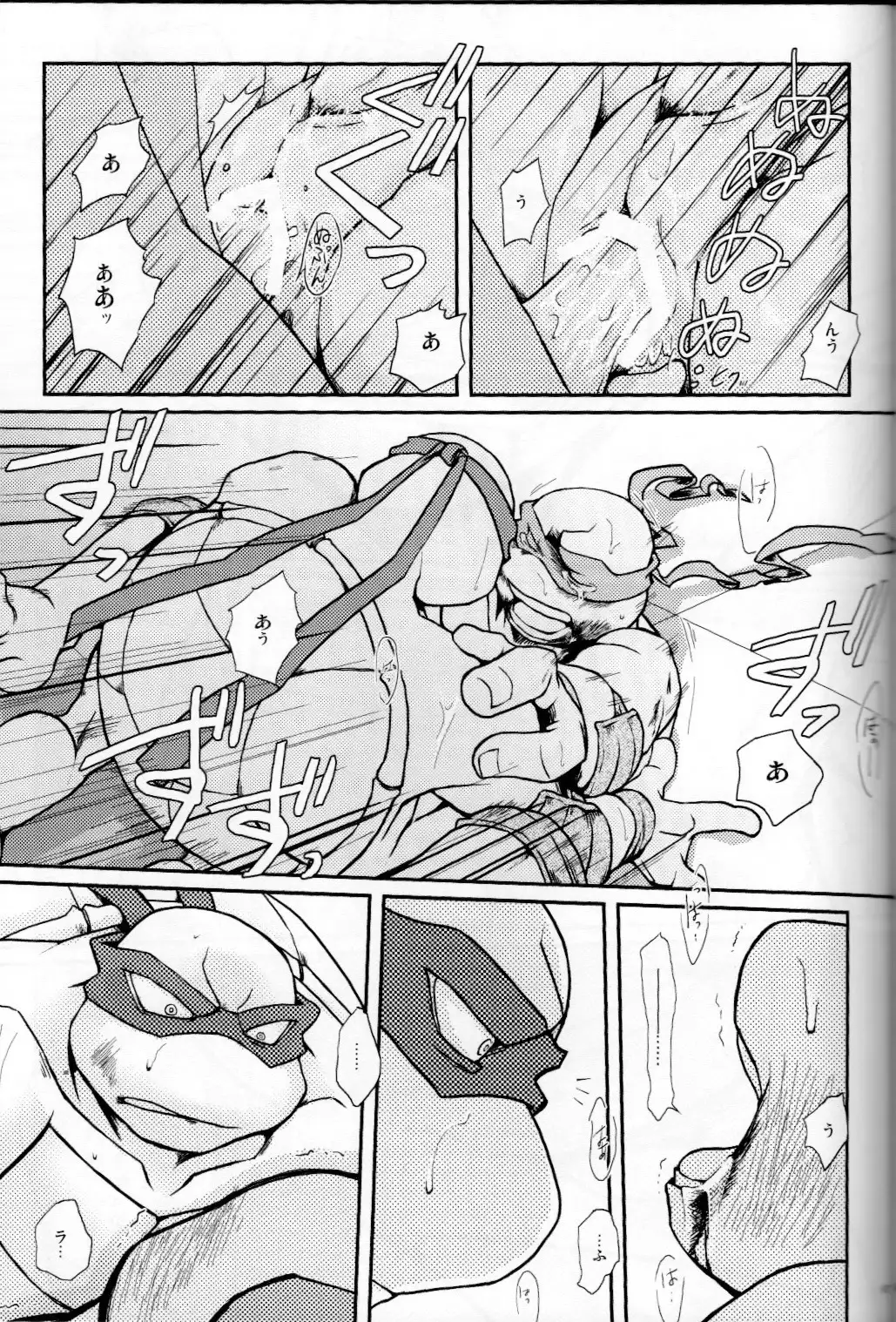 FALLEN - Raph vs Leo - Teenage Mutant Ninja Turtles, TMNT doujinshi