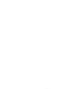 (CR28) [Izumiya] Blow Up 8 (Digimon Adventure 02)