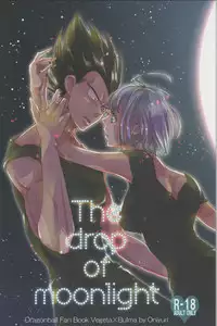 (C82) [Hatarakimasen.. (Oniyuri)] The drop of moonlight (Dragon Ball Z)