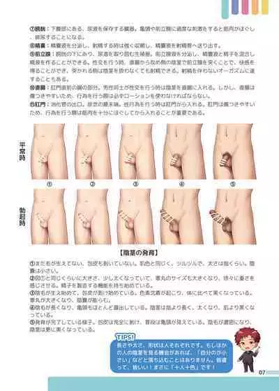 Erotic Sex Education For Boys