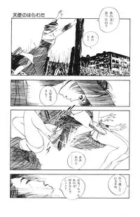 [Takashi Ishii] Tenshi no Harawata Vol. 02