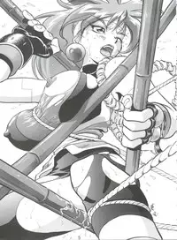 (C51) [Koa (Various)] Dengeki Inuoh 4 (Various)