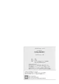 (C84) [Kougeki (Ootsuki Wataru)] Hashihime Mizugi! (Touhou Project) [English] [CGrascal]