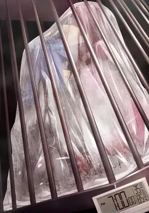 Ori no naka de... | Inside the cage...