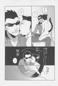 (CSP5) [Ochawan (Wakachiko)] collect (Buraiden Gai)