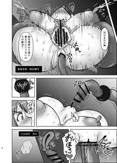 煌盾戦姫エルセイン 追刻の堕淫録