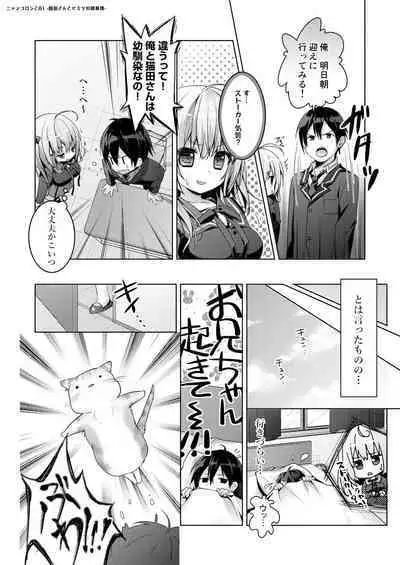 Nyancology Soushuuhen