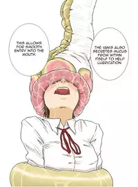 [Kasetsu Shirokuma (Yoi)] P045-02 Vanis Report [English] [CrayZayJay]