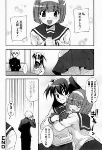 [Nippori] Daisy Blue