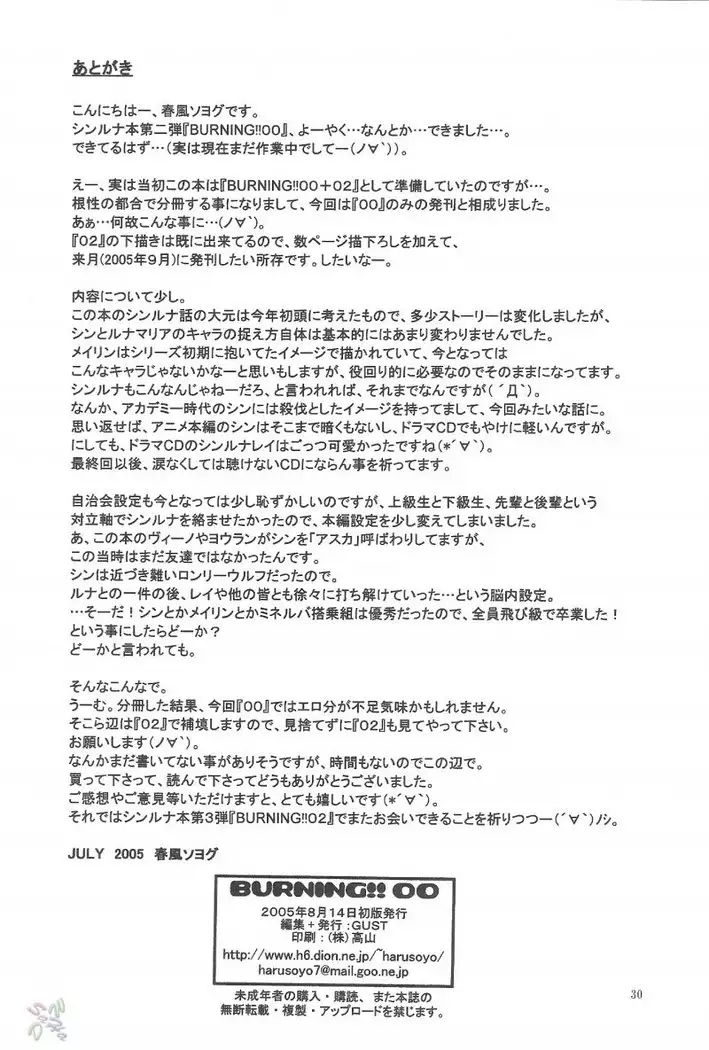 Gundam Seed Destiny - Burning