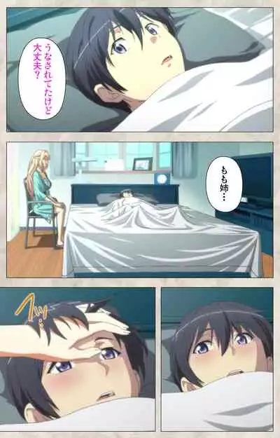 Ane Yome Quartet Kanzenban