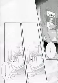 (CR36) [Arestica (Ariko Youichi)] Trumerei (Fate/stay night)