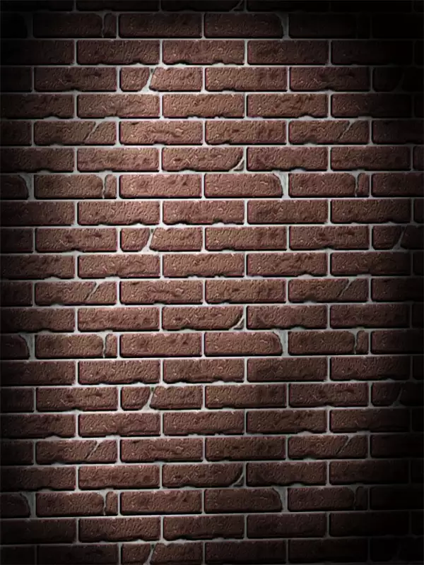 H.S.C. Illustration collection Vol.1&2 Renewal