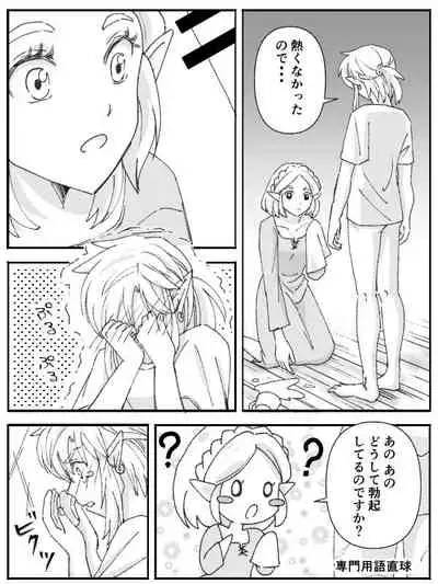 [Kodzuyu] Burewai rinzeru(The Legend of Zelda)