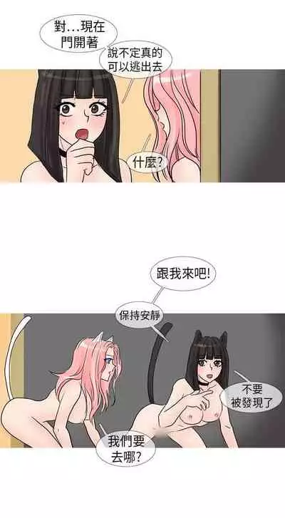 小野貓馴服手冊