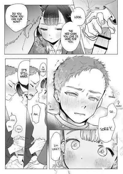 Ore wa Nee-chan de shika Nukenai