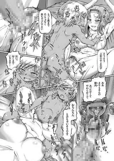 JK Ninja Marimo Ninpouchou