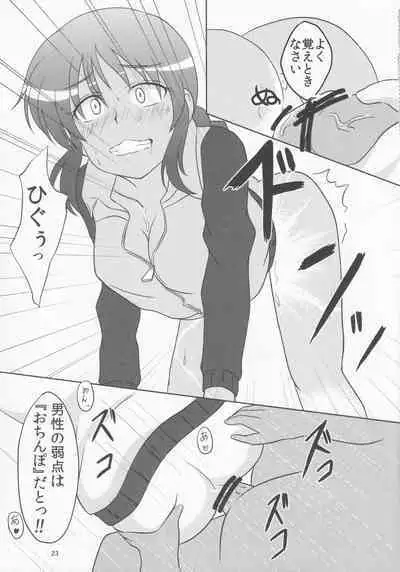 Pawaplus H 2012 Fuyu