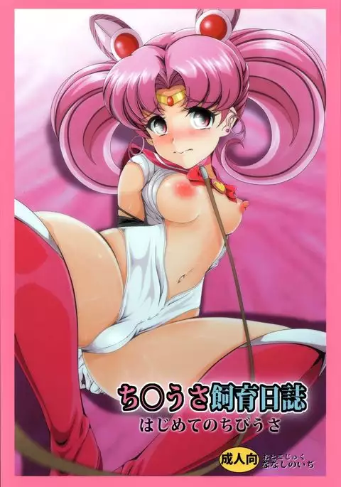 Chibiusa Shiiku Nisshi