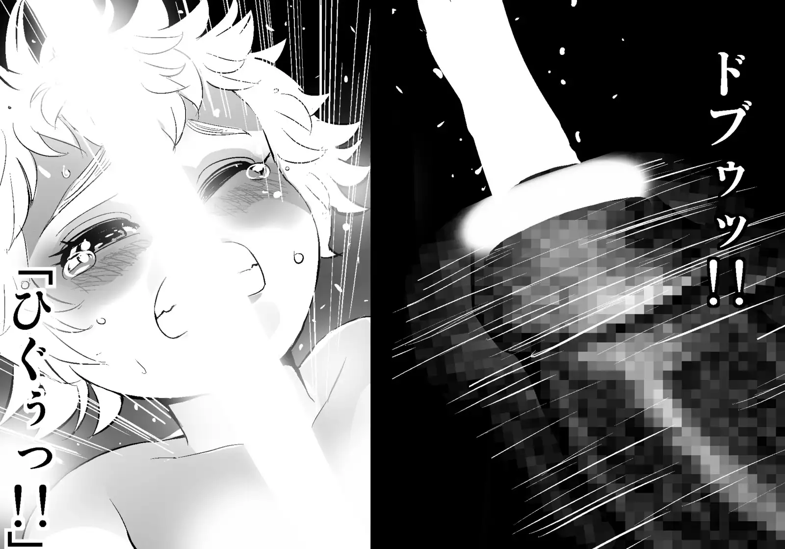 フェアリーセティ