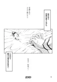 [Seishun No Nigirikobushi!] Favorite Visions 2 (Sailor Moon, AIKa)