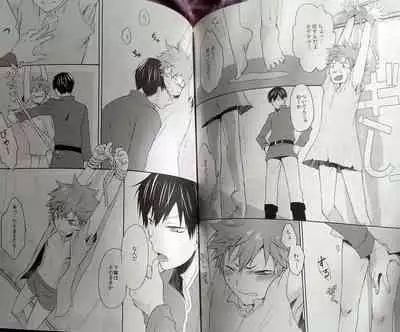 Kochira no Yuusha-sama Baiyakusumi to Natte Orimasu