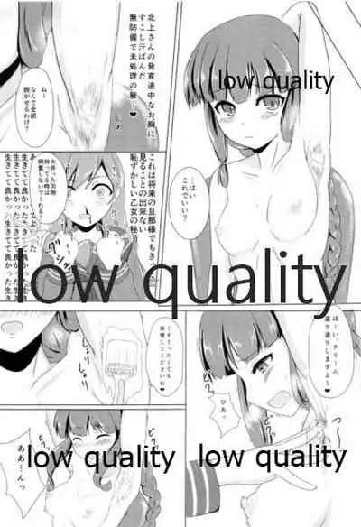 ソリコレ 艦娘剃毛合同