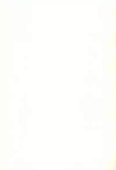 SATOHSAN+YAMADAKUN3 RANGE 1.03 A STEREORANGE PRODUCT