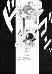 [Rabbit Company] Stale World 18 Stray Cat (Sakura Taisen)