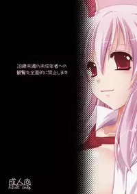 (C75) [Himeya (Abe Inori)] Usagi ga Mita Yume (Touhou Project)