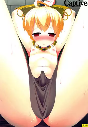 (C82) [C://A.D.D/ (Kiriyama Machi)] Ryoshuu | Captive (Final Fantasy Tactics) [English] =Short Wharf=