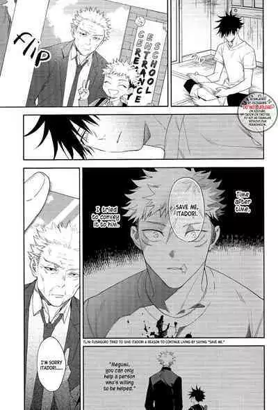 Marigold e | My Dear Marigold